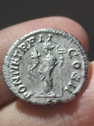 少见！古罗马盖塔奥古斯都币钱币头像是盖塔本人的加了胡子显得成熟铭文称号信息丰富,最高统帅，凯撒，庇护者，奥古斯都。反面大祭司，二届保民官，二届执政官。3.5克