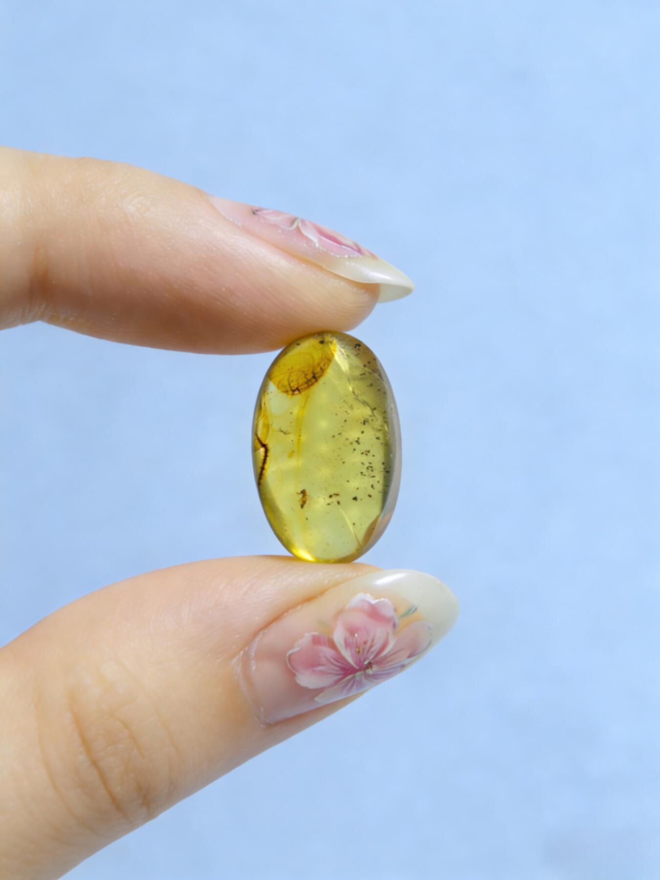 白垩纪缅甸虫珀第2场