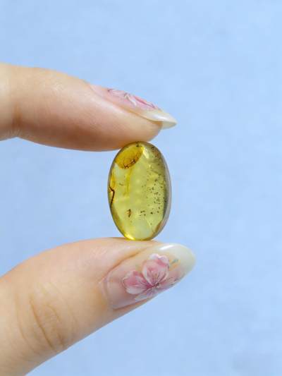 白垩纪缅甸虫珀第2场 - 花瓣和小虫