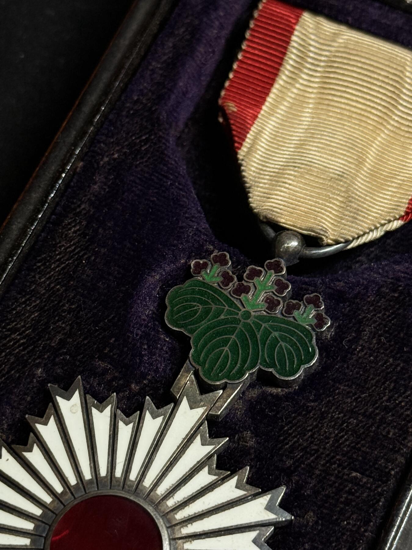 欢庆元旦！戎马世界章牌大赏第109期元旦大拍