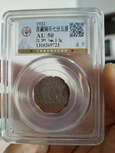 西藏铜币专场 - 西藏铜币启介公博评级币