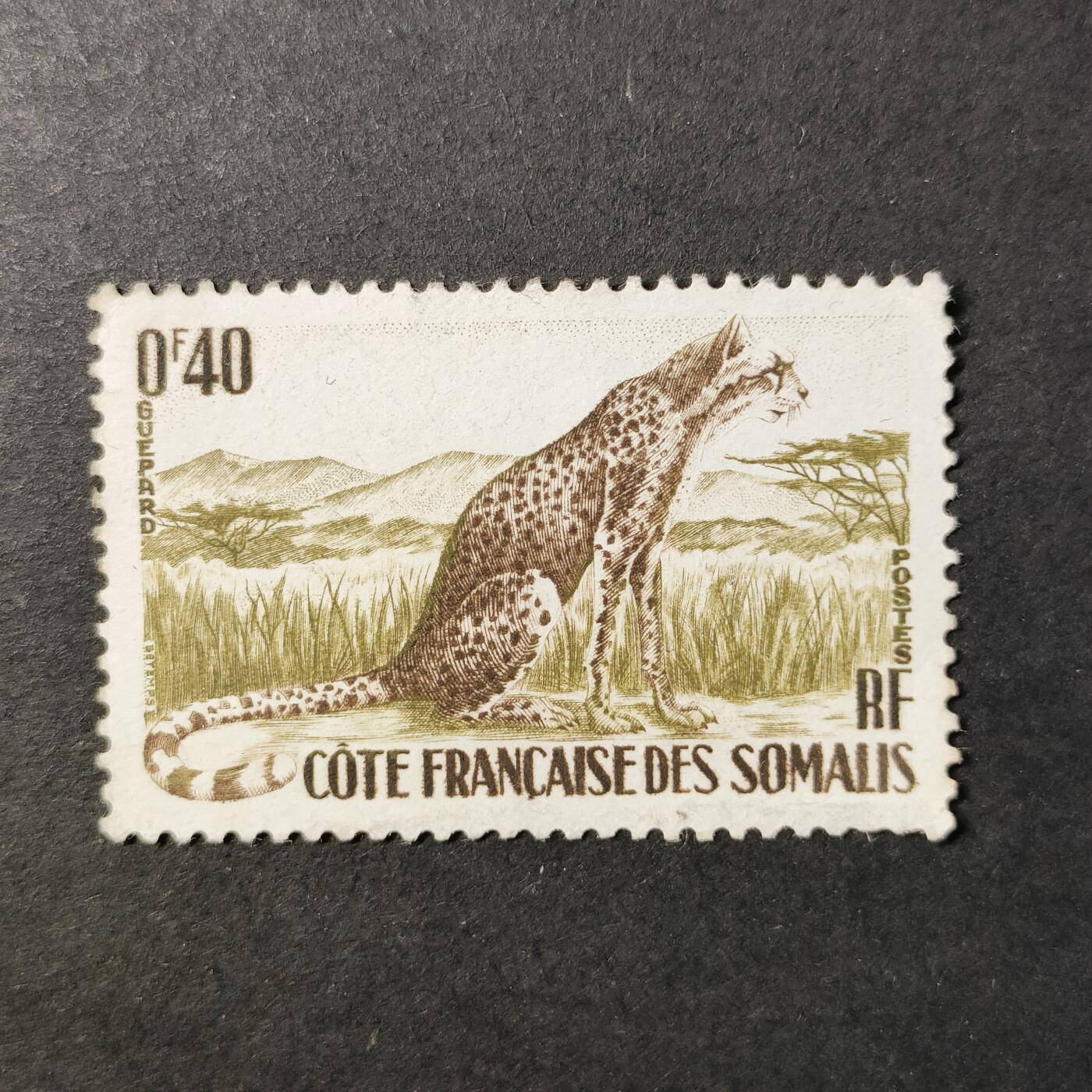 嘉禾收藏    【第413期】            无佣金、可寄存、满30元包邮 邮票一枚