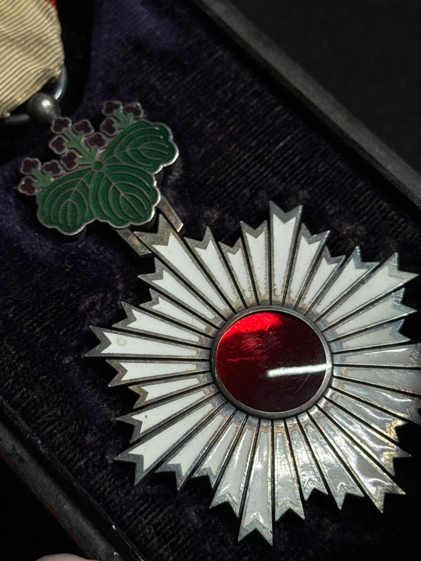 欢庆元旦！戎马世界章牌大赏第109期元旦大拍