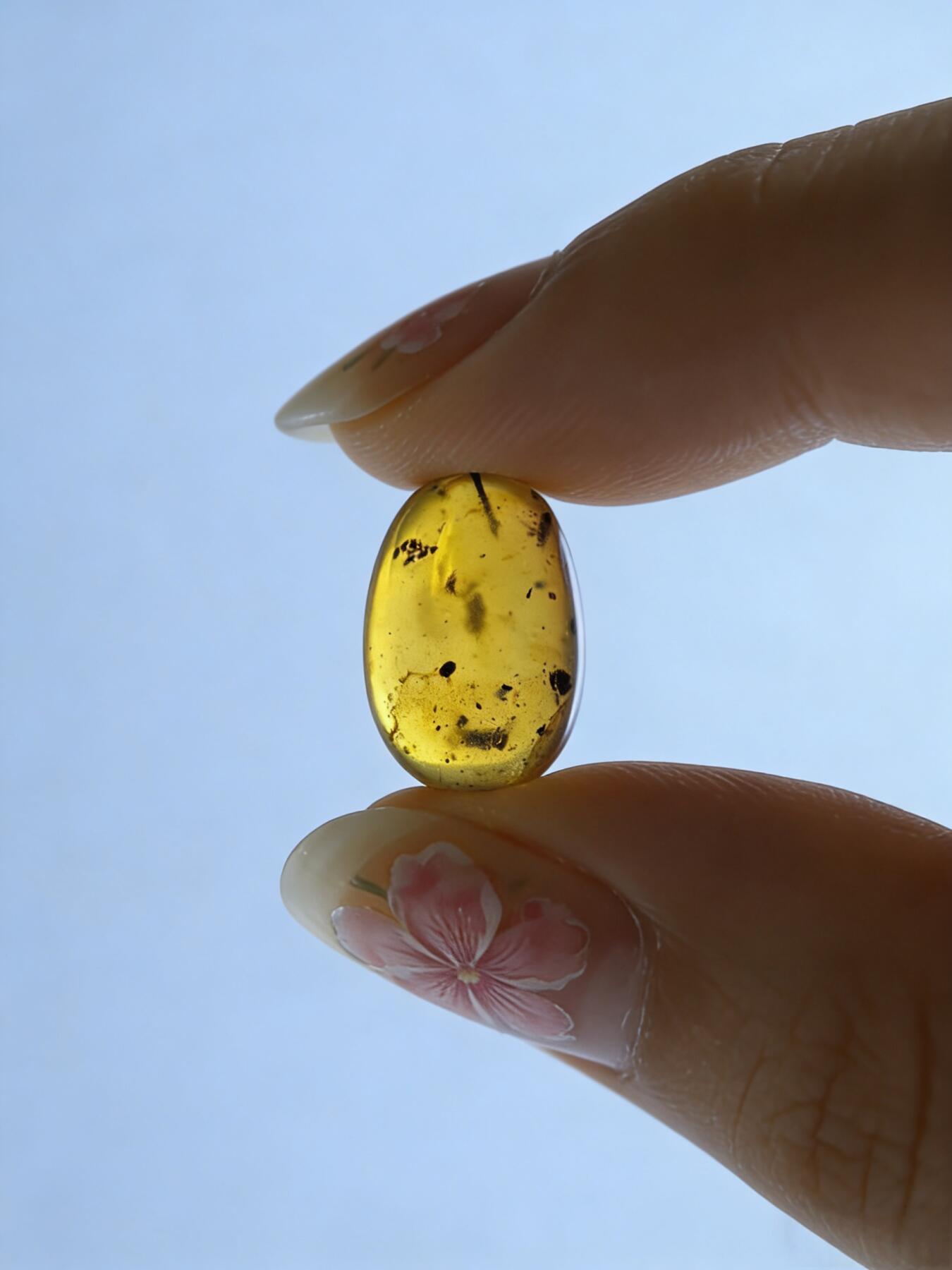 白垩纪缅甸虫珀第2场 一些小虫