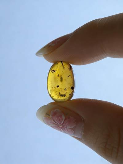 白垩纪缅甸虫珀第2场 - 一些小虫