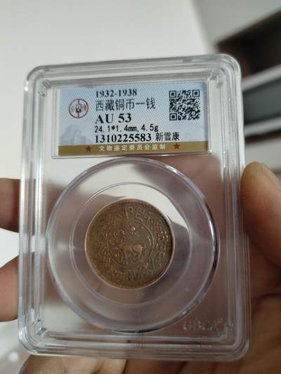 西藏铜币专场 - 西藏铜币新雪康一枚