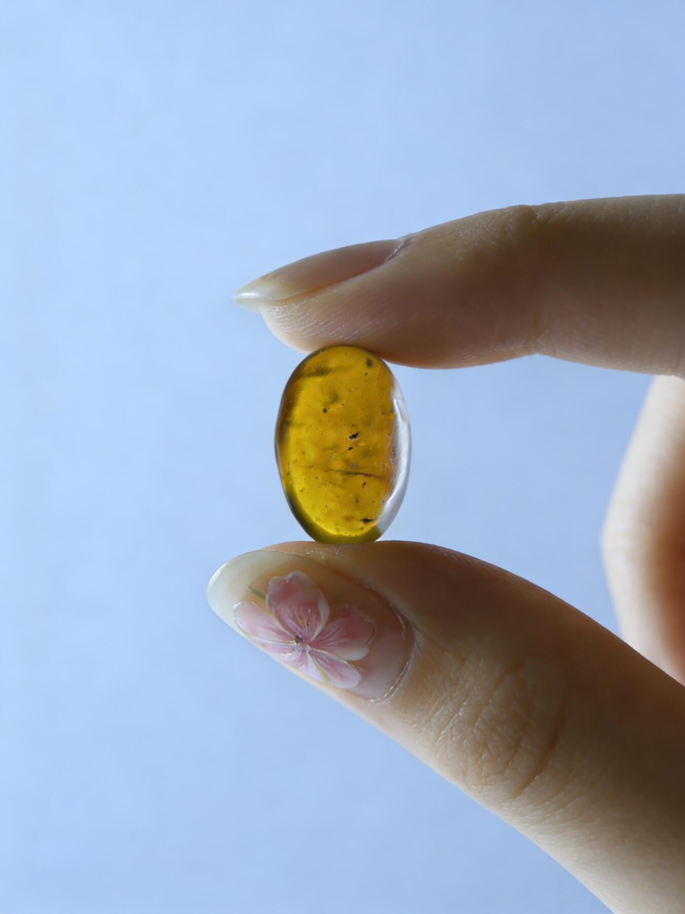 白垩纪缅甸虫珀第2场 超级小虫