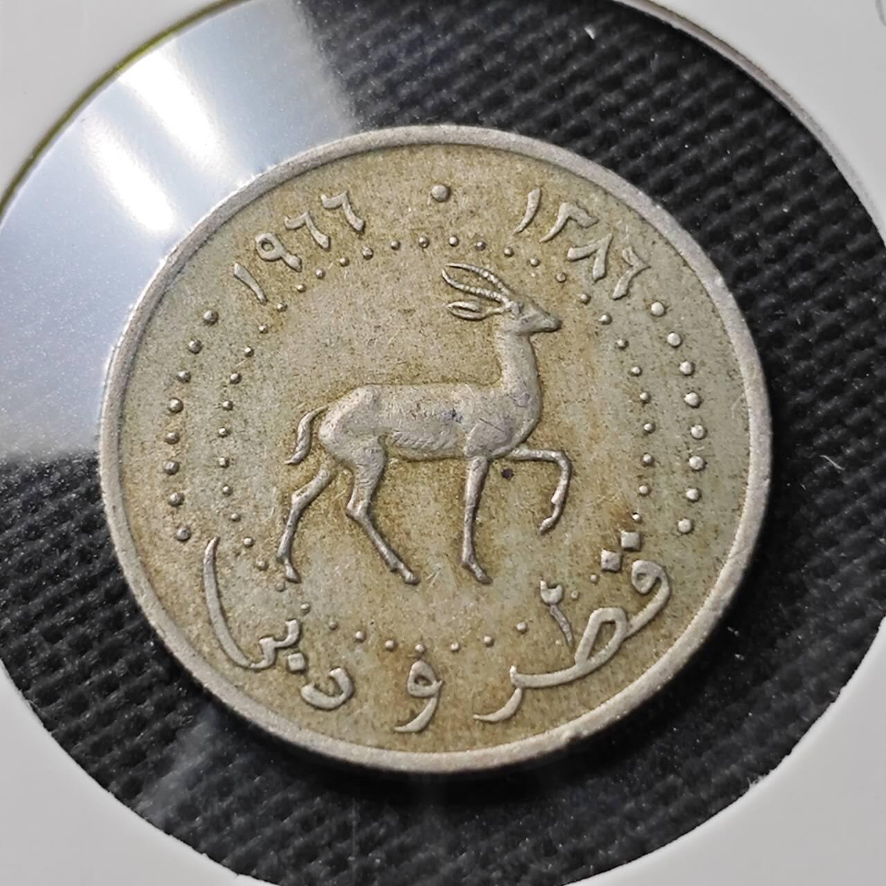 KK钱币收藏小铺  第374场  2月预留时间 周末发货  