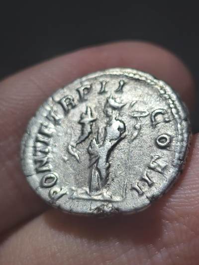 少见！古罗马盖塔奥古斯都币钱币头像是盖塔本人的加了胡子显得成熟铭文称号信息丰富,最高统帅，凯撒，庇护者，奥古斯都。反面大祭司，二届保民官，二届执政官。3.5克