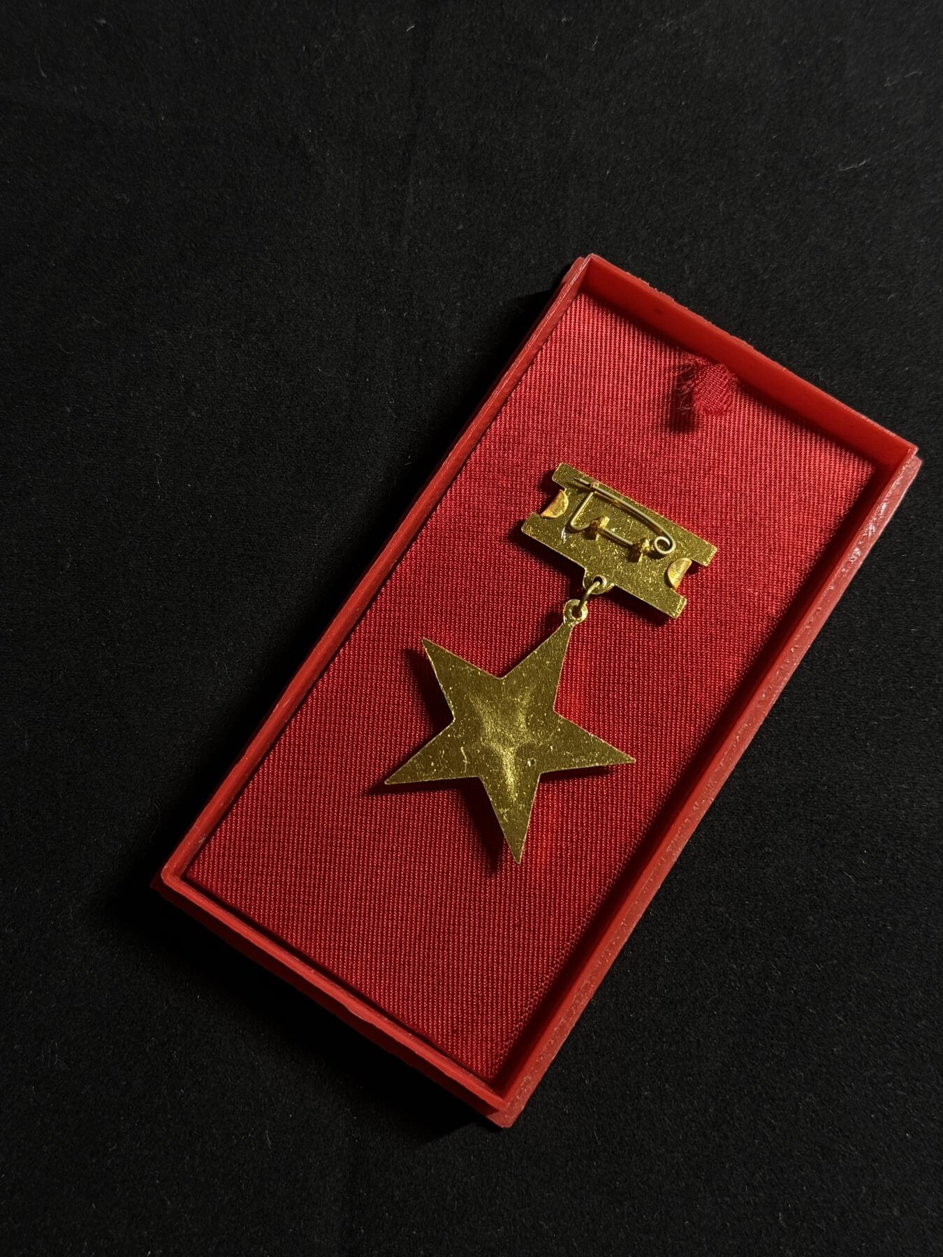 欢庆元旦！戎马世界章牌大赏第109期元旦大拍 越南英雄母亲金星勋章，铝制