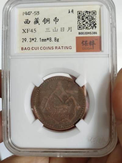 西藏铜币专场 - 西藏铜币雪阿一枚