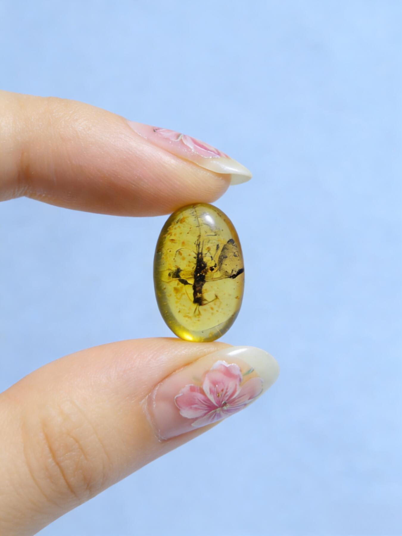 白垩纪缅甸虫珀第2场