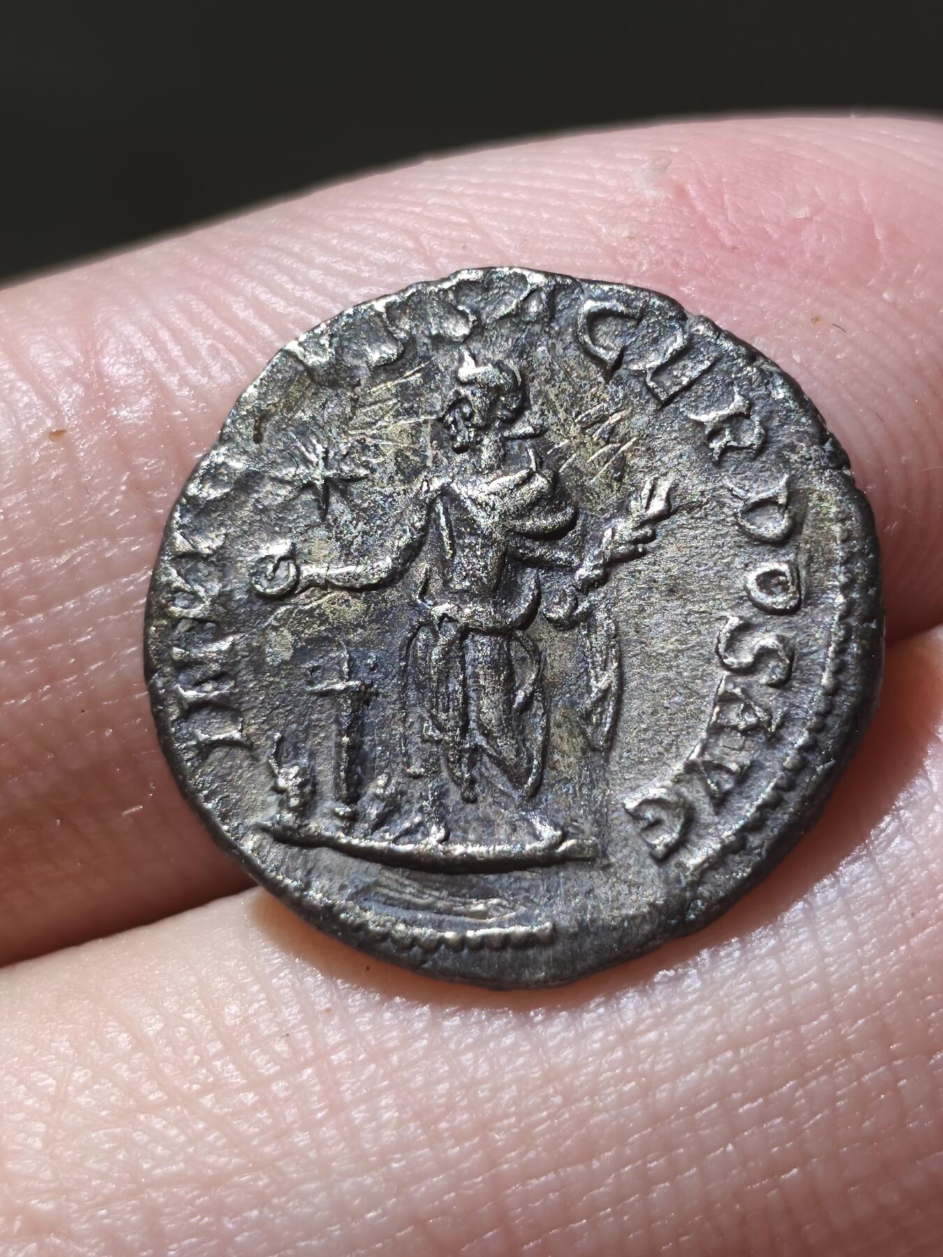 星盘世界钱币十二月二十七日古典币专场