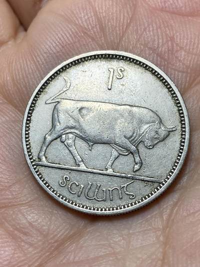 2025年第一百三十九场(总第一百六十五场）外国好品散币场(免佣金) - 爱尔兰🇮🇪1951年1便士(共和国时期第一套第二版)