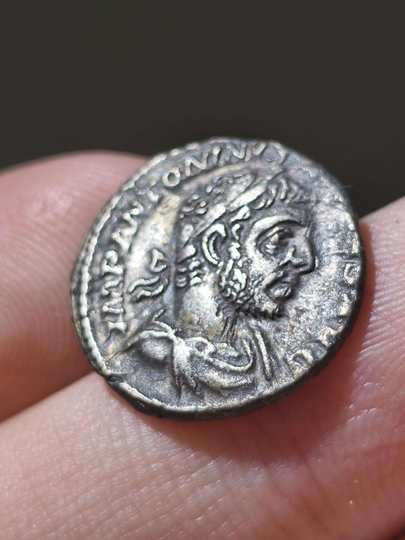 星盘世界钱币十二月二十七日古典币专场