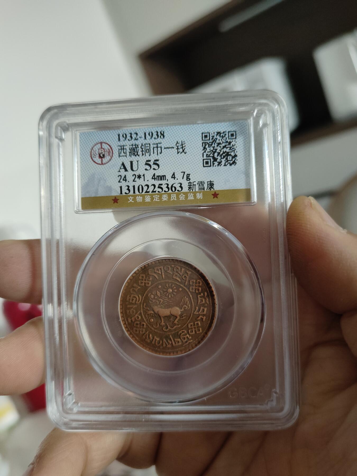 西藏铜币专场