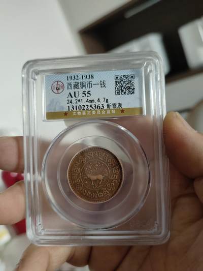 西藏铜币专场 - 西藏铜币新雪康一枚