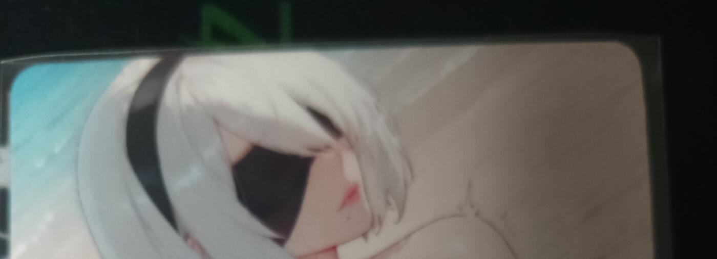 花开卡拍第53期（12月28号周日截拍，品控勿拍!!!拍品不寄存，运费5元，自制卡难免瑕疵，可能存在轻微撞角爆边等出厂瑕疵，品控介意勿拍！） 艺术甄选动漫2B正反面