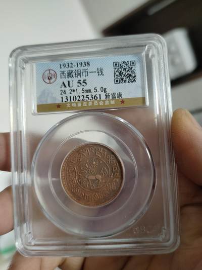 西藏铜币专场 - 西藏铜币新雪康一枚