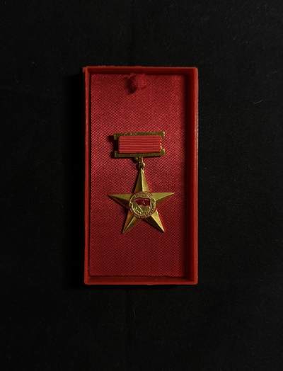 欢庆元旦！戎马世界章牌大赏第109期元旦大拍 - 越南英雄母亲金星勋章，铝制