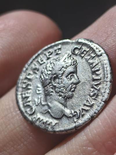 少见！古罗马盖塔奥古斯都币钱币头像是盖塔本人的加了胡子显得成熟铭文称号信息丰富,最高统帅，凯撒，庇护者，奥古斯都。反面大祭司，二届保民官，二届执政官。3.5克