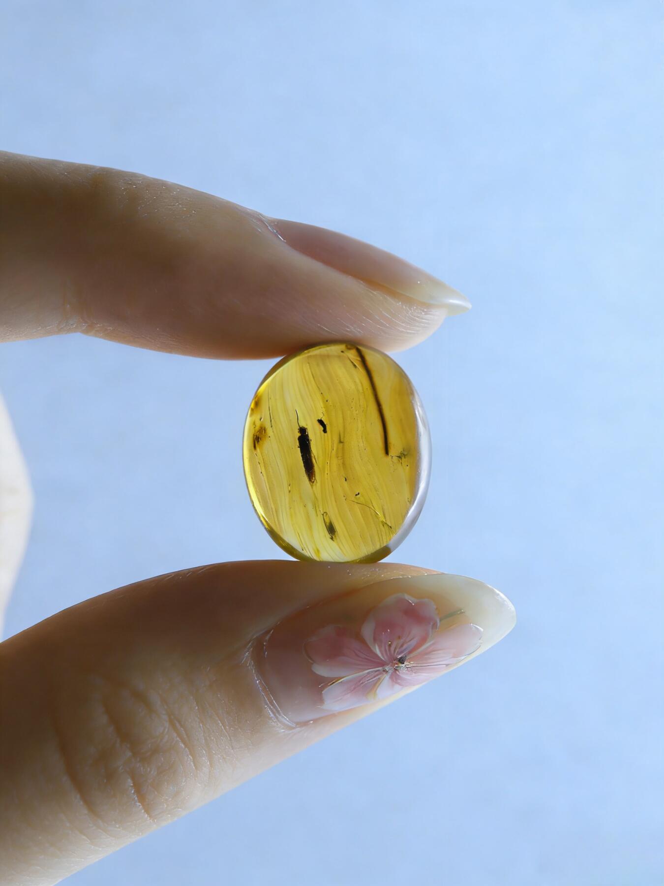 白垩纪缅甸虫珀第2场 两只虫