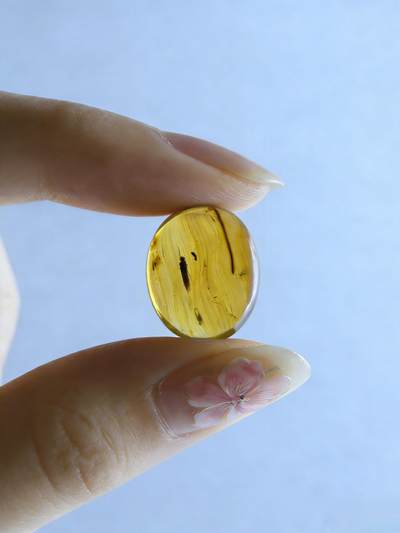 白垩纪缅甸虫珀第2场 - 两只虫