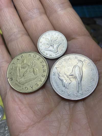 2025年第一百三十九场(总第一百六十五场）外国好品散币场(免佣金) - 匈牙利🇭🇺3枚：1994年2福林、2006年20福林、2009年50福林