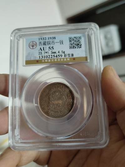 西藏铜币专场 - 西藏铜币新雪康一枚