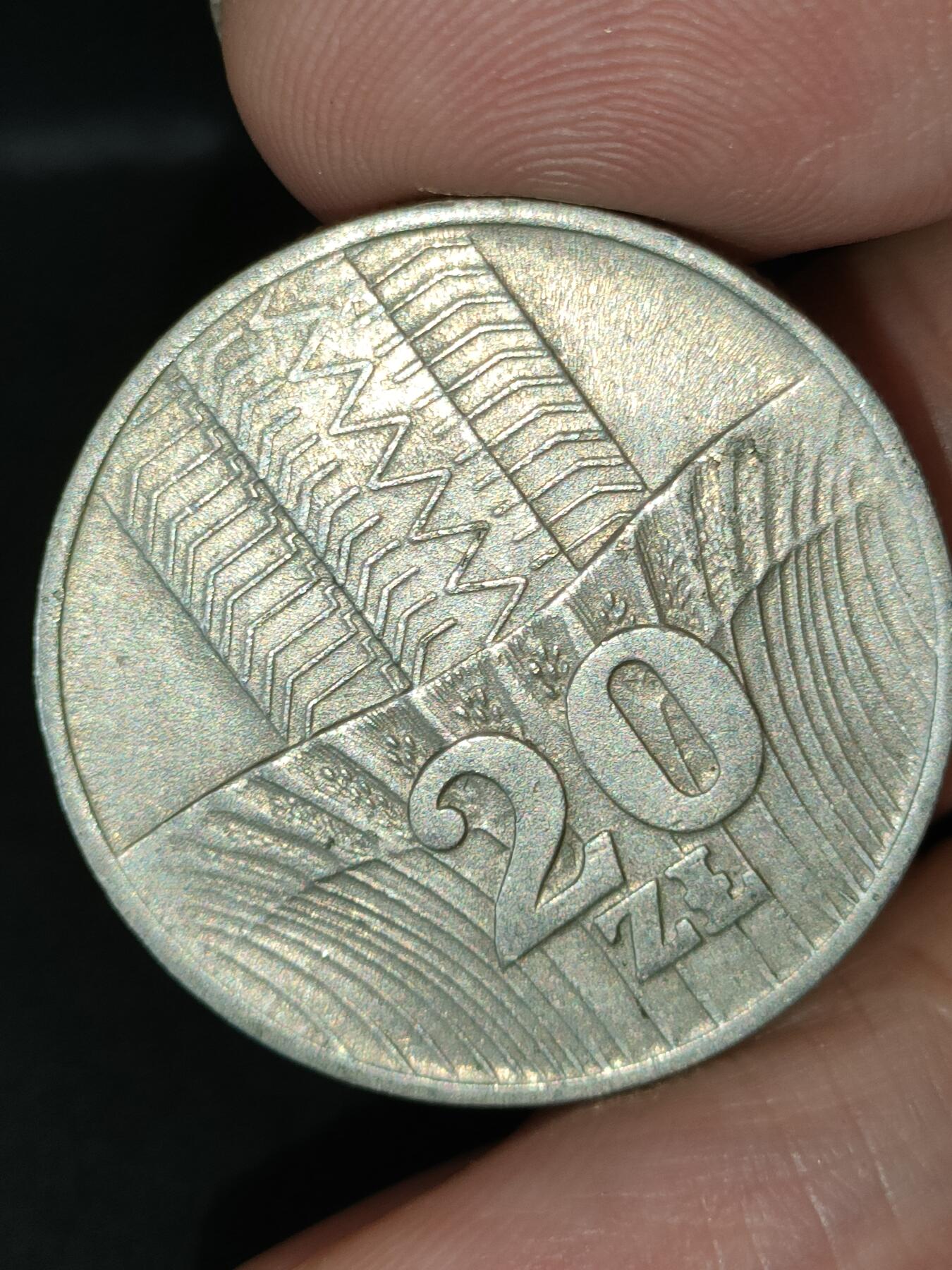 猩哥外币小铺➨【第212场】 波兰