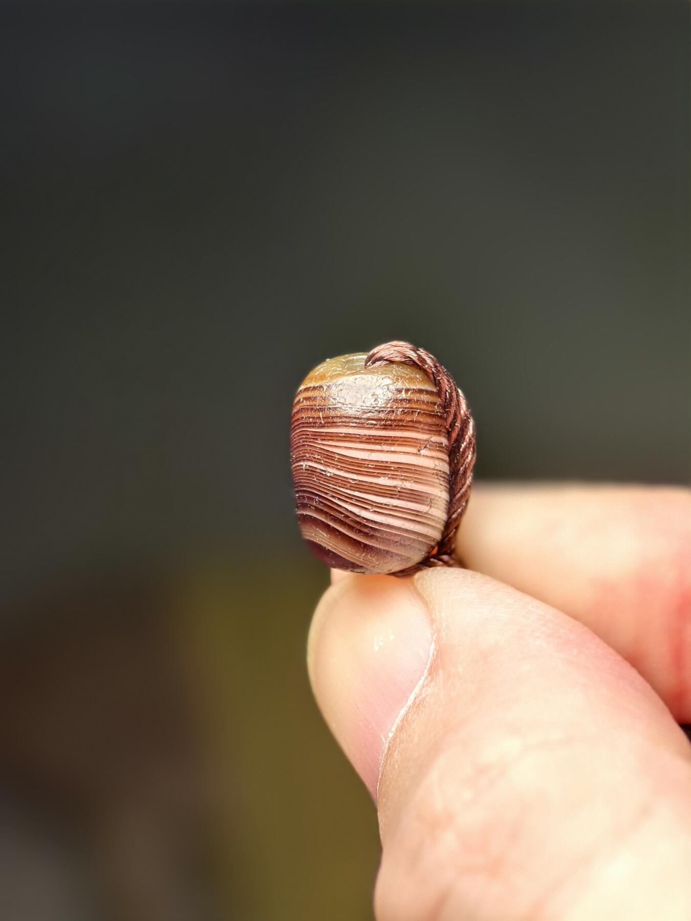 抚柳草堂-第三期章牌钱币 奖章勋章限时免佣 满百包邮 放漏专场 15世纪缠丝玛瑙珠 闻德评级尺寸见标签 缠丝漂亮配串佳品