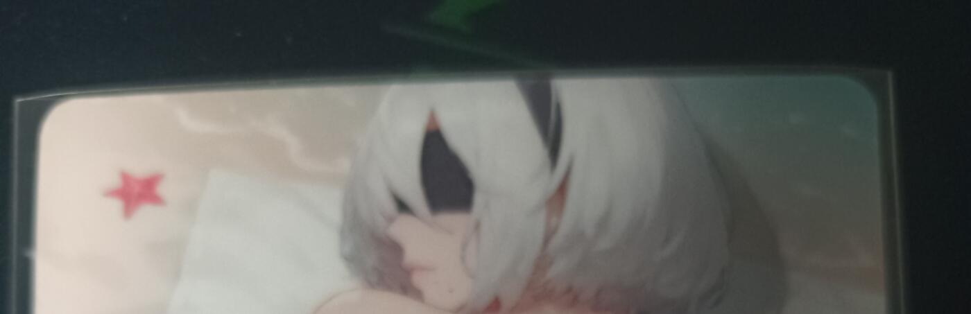 花开卡拍第53期（12月28号周日截拍，品控勿拍!!!拍品不寄存，运费5元，自制卡难免瑕疵，可能存在轻微撞角爆边等出厂瑕疵，品控介意勿拍！） 艺术甄选动漫2B正反面