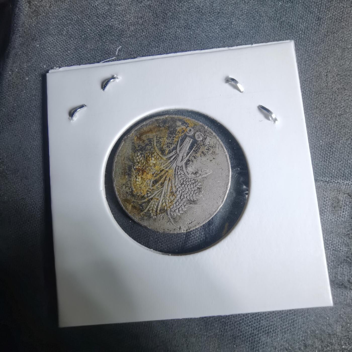 沼泽如烟--第940场