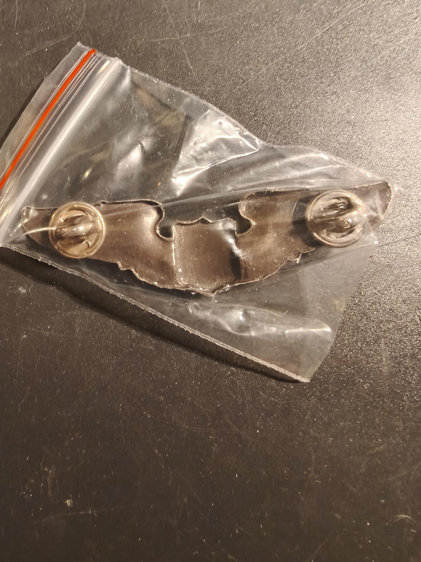 老王徽章第171期