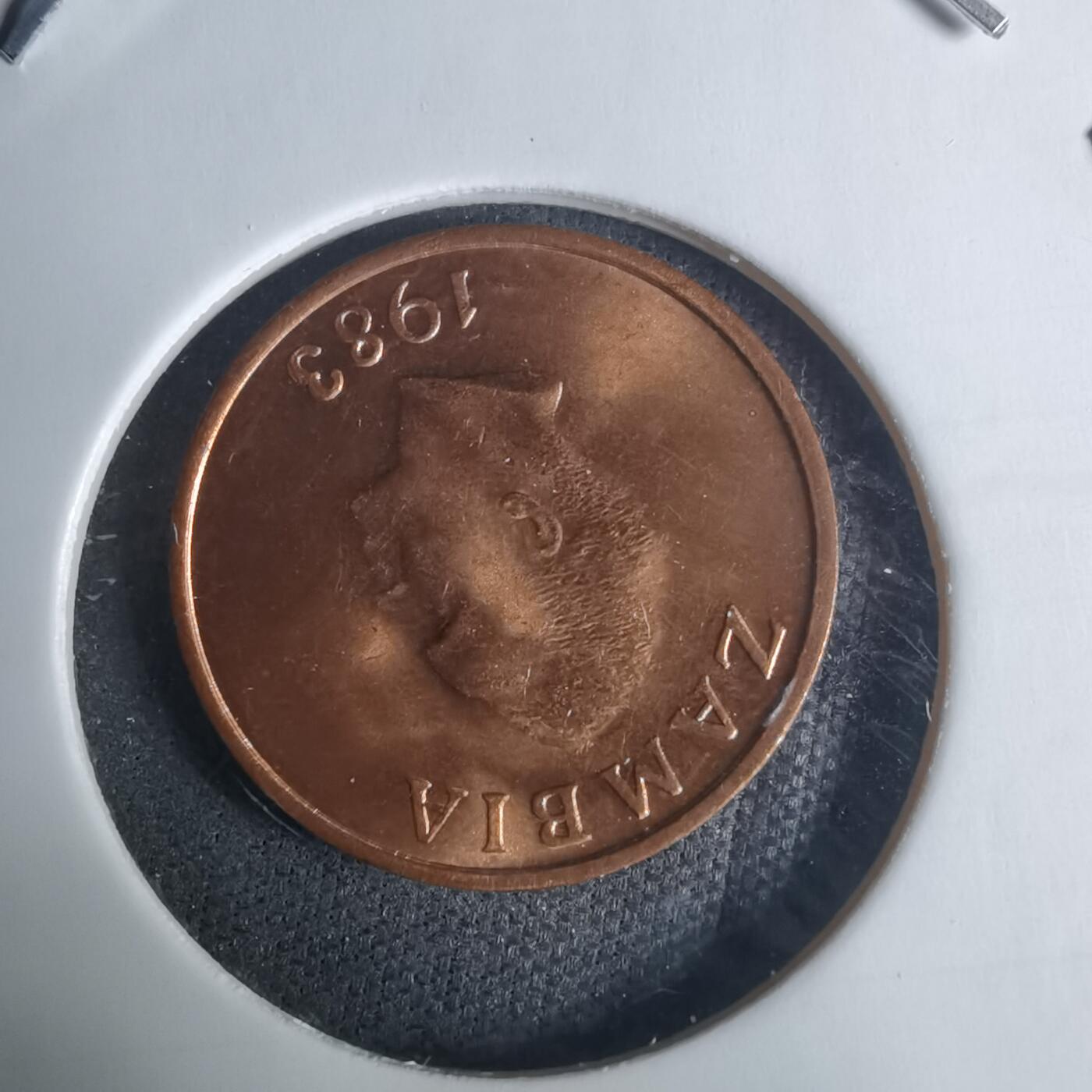 沼泽如烟--第940场 赞比亚1983年1恩韦