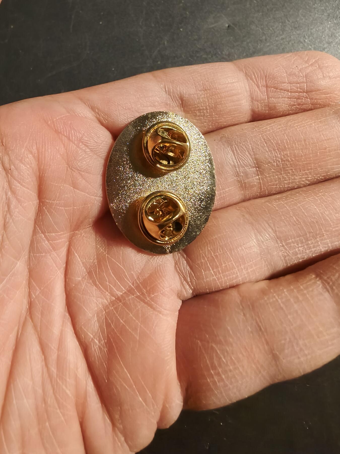 老王徽章第171期