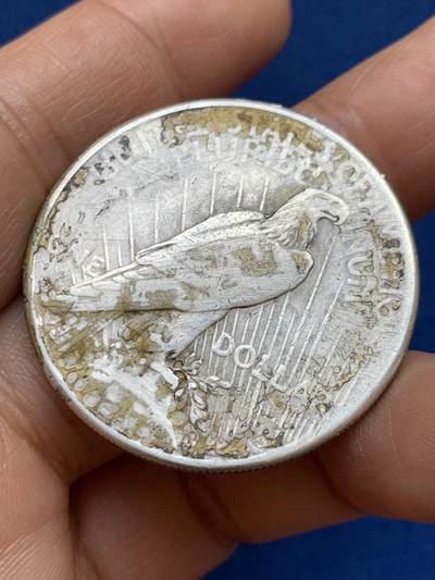 《竞宝斋》第449场 周日，周一，周二  3场连拍 （全场包邮，欢迎送拍） 美国1923年和平银币 26.6克 900银