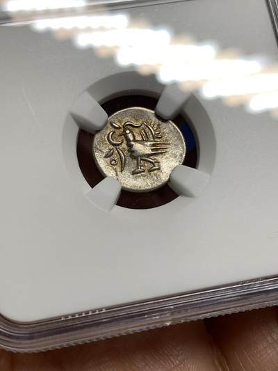 《竞宝斋》第449场 周日，周一，周二  3场连拍 （全场包邮，欢迎送拍） NGC AU50 柬埔寨1600年-1860年神鸟2PE银币 东南亚经典品种