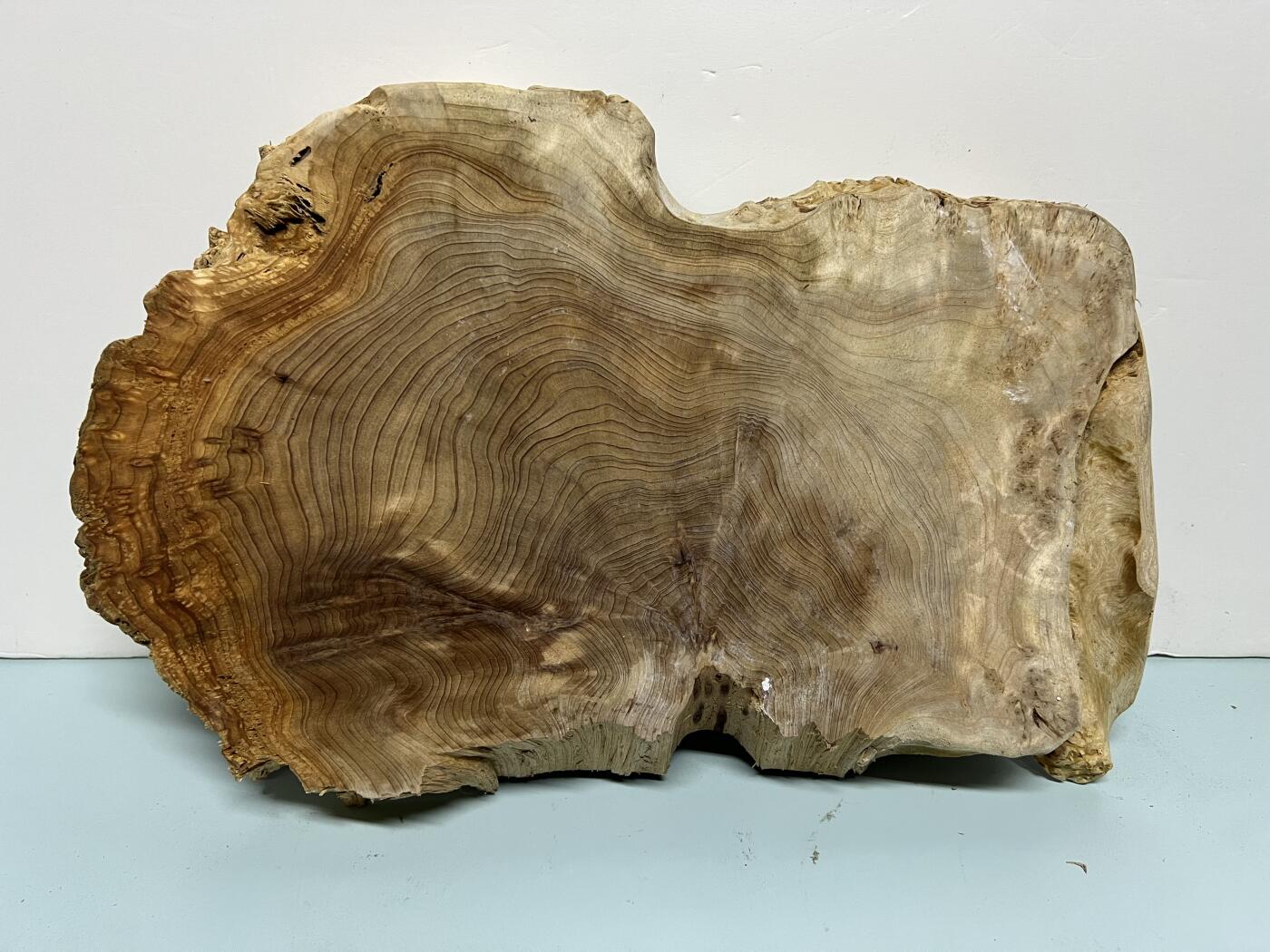 零元拍：1220-5香杉木老根榴干泡茶盘 毛坯，尺寸约：380/250/厚35MM，满花，药香满鼻，因为没有上漆，干燥天气可能会产生裂纹，属于正常现象