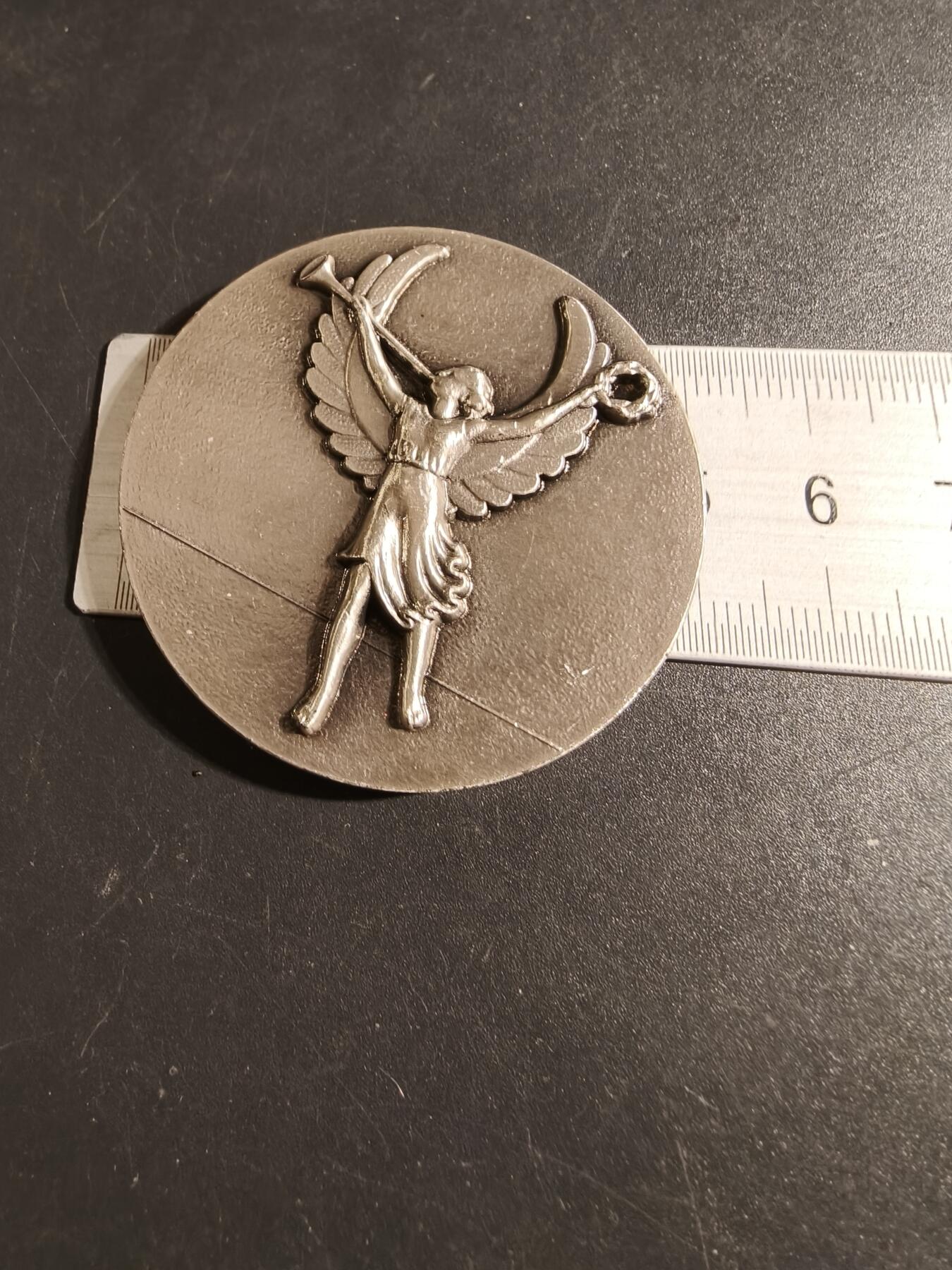 老王徽章第171期 法国马恩河谷省一战老兵镀银大铜章     直径50mm     重量55g