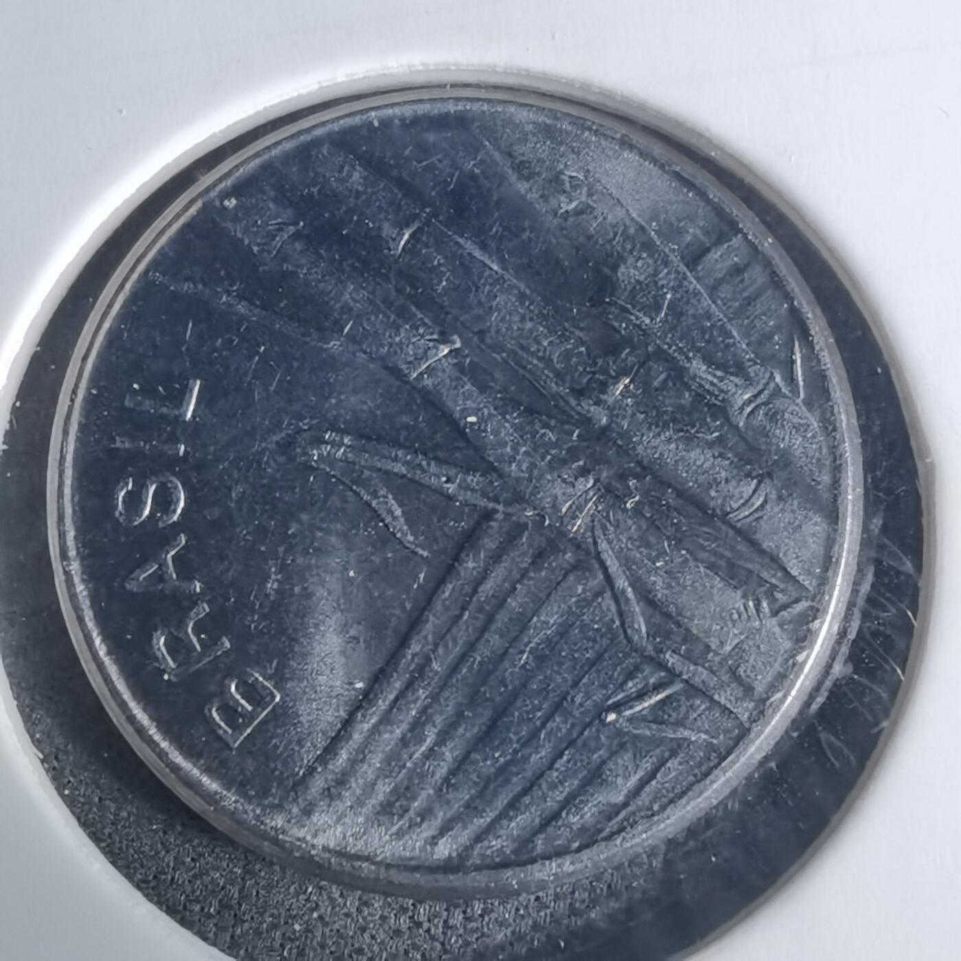 沼泽如烟--第940场