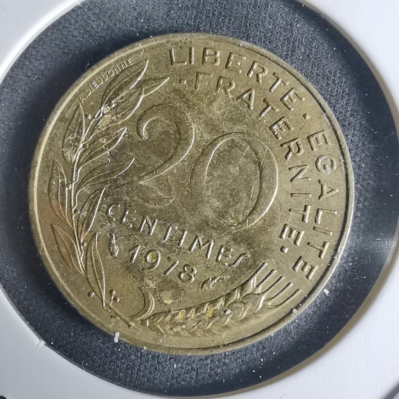 沼泽如烟--第942场