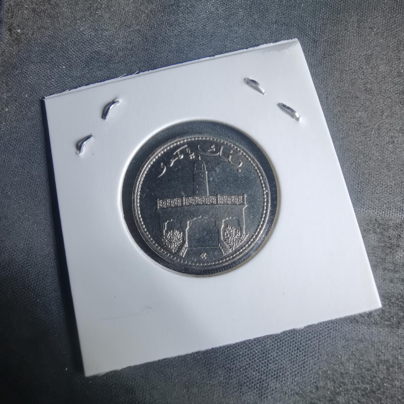 沼泽如烟--第940场