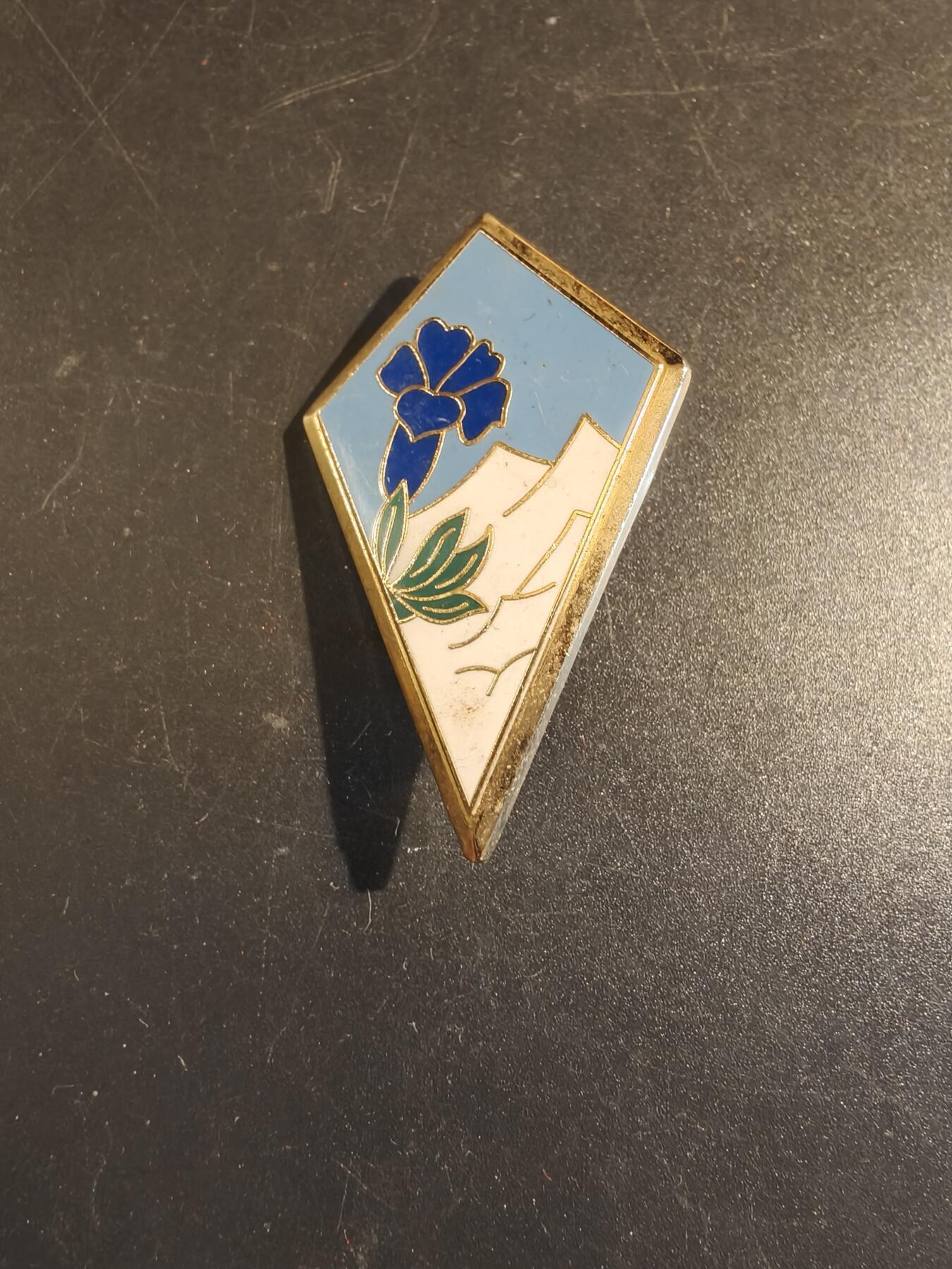 老王徽章第171期 法国第27步兵师证章