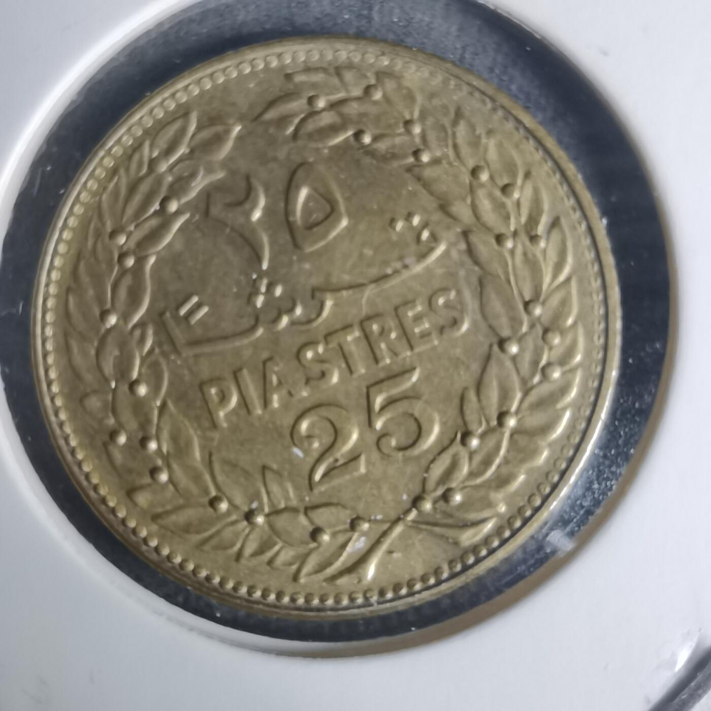 沼泽如烟--第940场