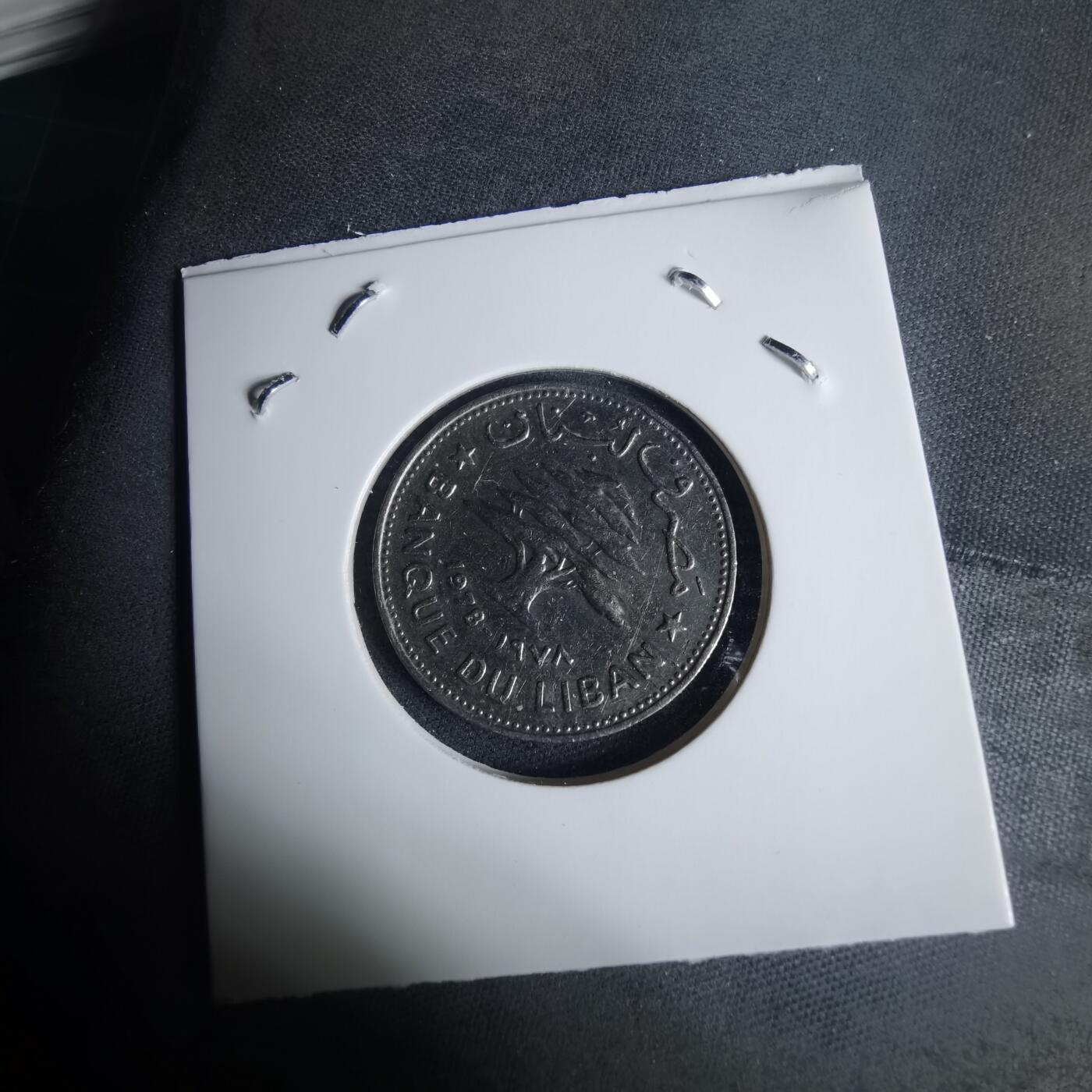 沼泽如烟--第940场