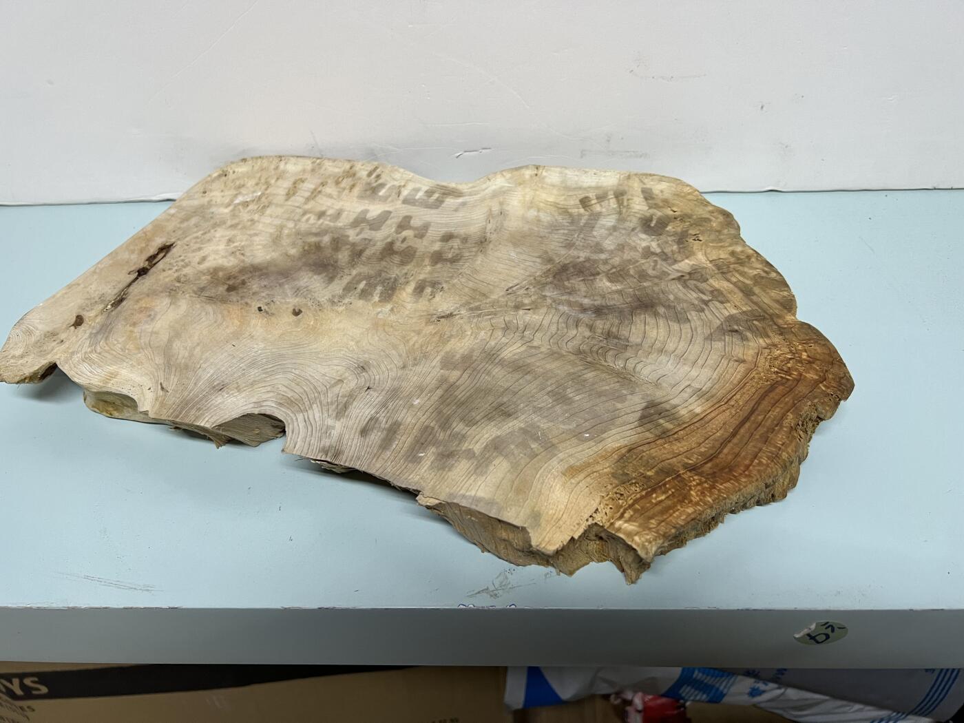 零元拍：1220-5香杉木老根榴干泡茶盘 毛坯，尺寸约：380/250/厚35MM，满花，药香满鼻，因为没有上漆，干燥天气可能会产生裂纹，属于正常现象