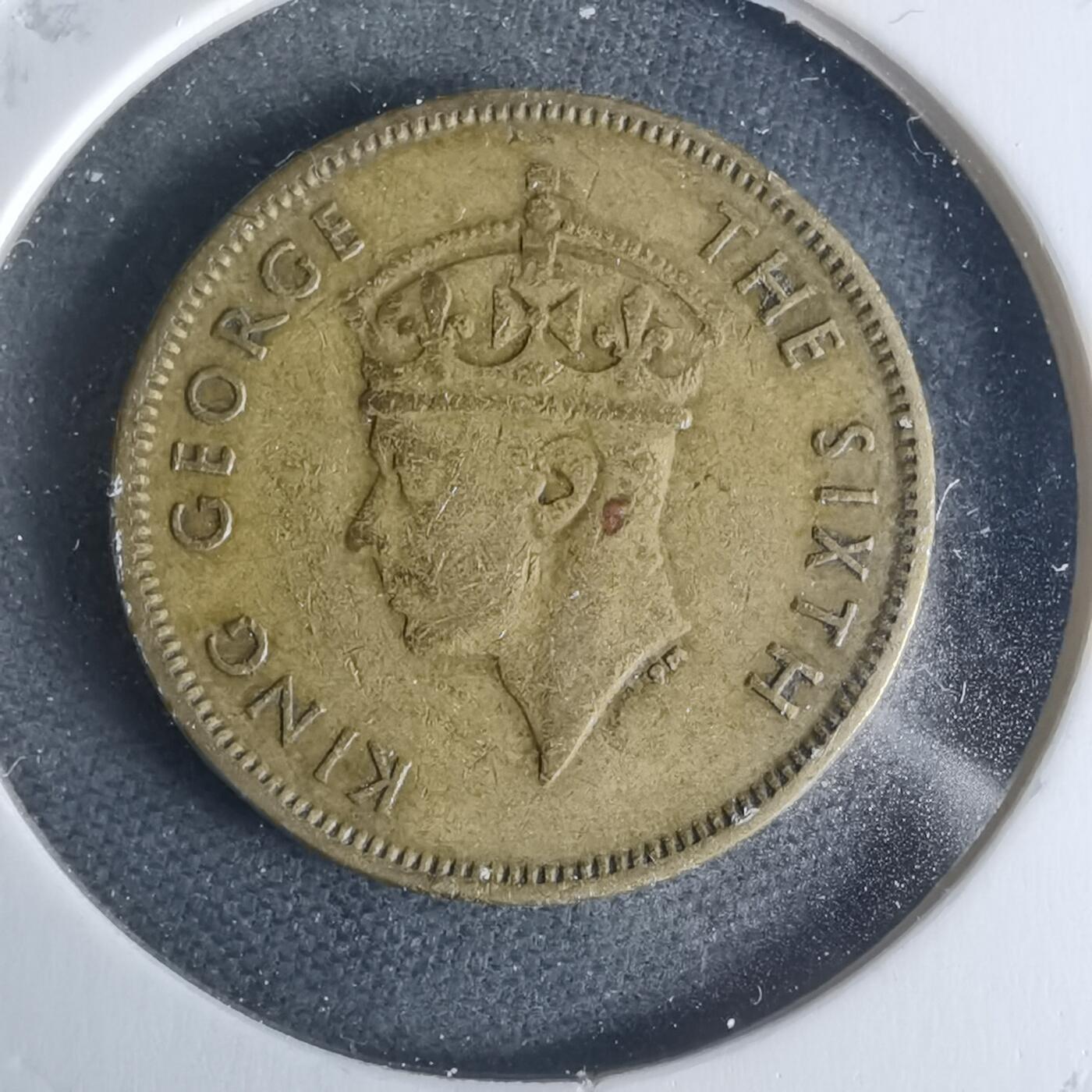 沼泽如烟--第942场