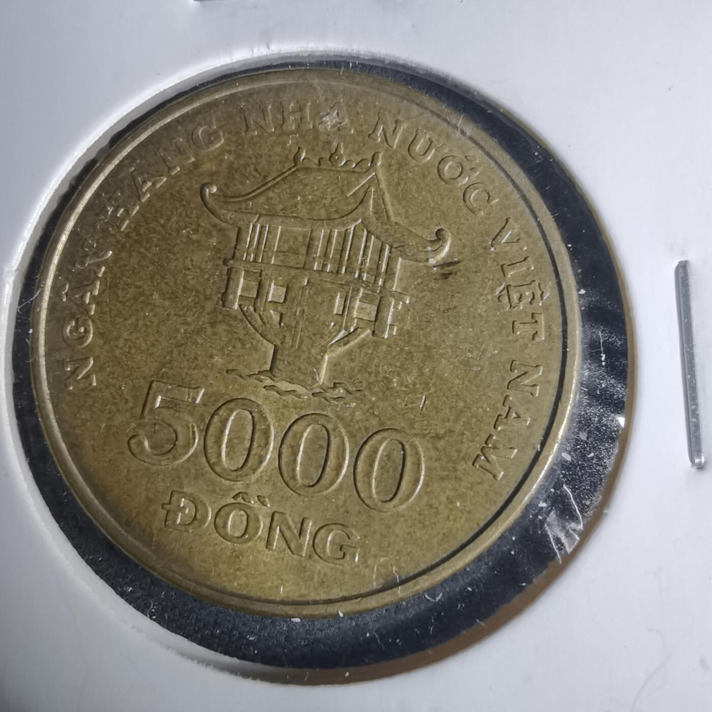 沼泽如烟--第940场