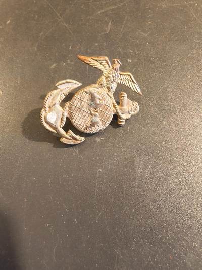 老王徽章第171期 - 美国海军陆战队领章